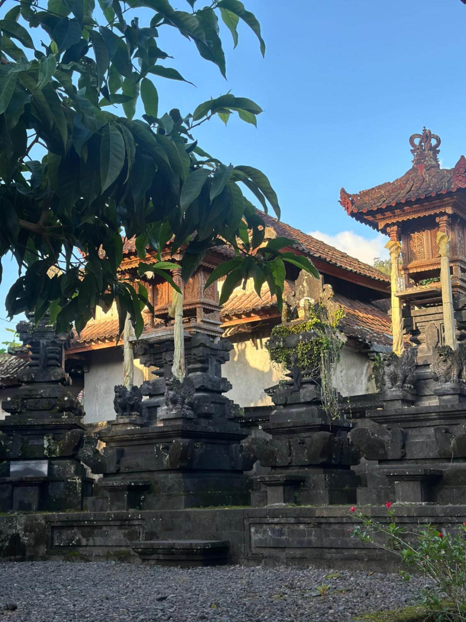 Made Putu Homestay Sidemen  Buitenkant foto