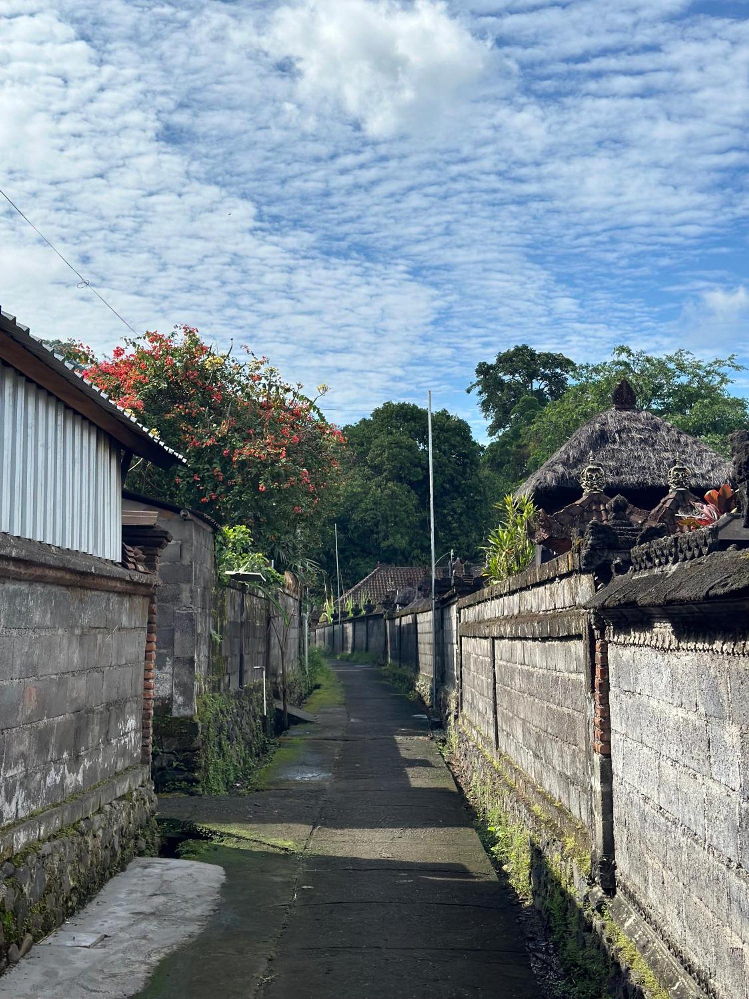 Made Putu Homestay Sidemen  Buitenkant foto